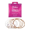 ZIKO DP-010 cordes de guitare acoustique Extra légères fil en alliage hexagonal phosphore Bronze enroulé résistant à la Corrosion ensemble de 6 cordes