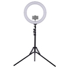 ZOMEI 18 pouces 2700-5500K anneau vidéo dimmable bicolore lumière de remplissage LED CRI 90+ avec support de téléphone à tête sphérique mini sac de transport support léger (plié 49 cm) pour la photographie de portrait de mariage Live Show Beauty 