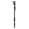 ZOMEI Q666C 59 polegada Voyage Portable Léger En Fiber De Carbone Caméra Trépied Manfrotto avec Rotule / Platine de Déclenchement Rapide / Sac de Transport pour Canon Nikon Sony DSLR