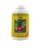 Acérola Plus 500 FAM 100 Phyto-Actif