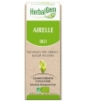 Airelle bio Flacon compte gouttes Herbalgem Gemmobase