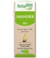Amandier bio Flacon compte gouttes Herbalgem Gemmobase