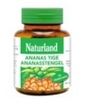Ananas tige 75 Naturland
