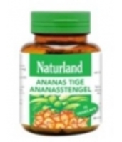 Ananas tige 75 Naturland