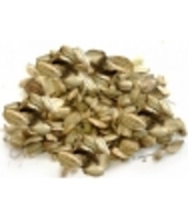 Angélique fruit BIO 100 Herboristerie De Paris