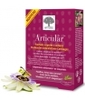 Articular 60 New Nordic