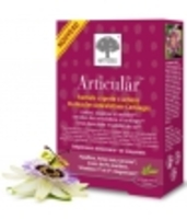 Articular 60 New Nordic