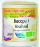 Bacopa Brahmi BIO 60 Phytofrance