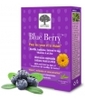 Blue Berry 60 New Nordic