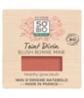 Blush bonne mine Teint Divin 01 bois de rose So