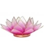 Bougeoir Lotus Rose avec bords en or Le Monde du Bio