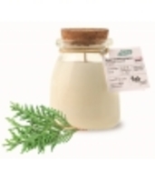 Bougie Parfumée Naturelle Thuya Nao