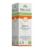 Bouleau bio Flacon compte gouttes Equi - Nutri