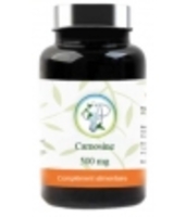 Carnosine 500 mg 60 Planticinal
