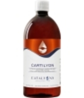 Cartilyon Catalyons