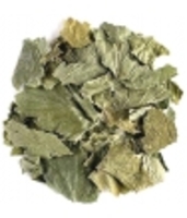 Cassis feuille entière bio Herboristerie De Paris