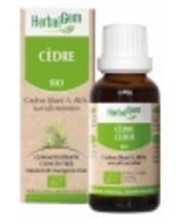 Cèdre bio Flacon compte gouttes Herbalgem Gemmobase
