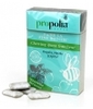 Chewing Gum Propolis,  Menthe et Xylitol Boîte de 25 Propolia