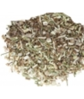 Chicorée Feuilles coupée Herboristerie De Paris