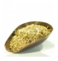 Chiendent Gros rhizome coupé bio tisane Herboristerie De Paris