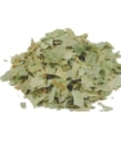 Chêne feuille Bio Tisane Herboristerie De Paris