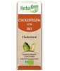 Cholestegem Bio Flacon compte gouttes Herbalgem Gemmobase
