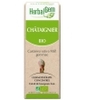 Châtaignier bio Flacon compte gouttes Herbalgem Gemmobase
