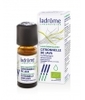Citronnelle de Java Bio Ladrome