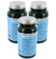 Coffret Prêle Cure de 3 mois (3 boîtes de 90 Esprit phyto