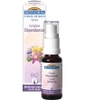 Complexe floral n°1 Dépendance en spray Biofloral
