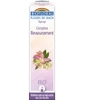 Complexe floral n°10 Ressourcement en spray Biofloral