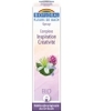 Complexe floral n°12 Inspiration et créativité en spray Biofloral