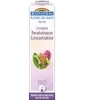 Complexe floral n°13 Persévérance et concentration en spray Biofloral