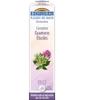 Complexe floral n°14 Examen Etude en granules sans alcool Biofloral
