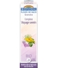 Complexe floral n°16 Voyage serein en granules sans alcool Biofloral