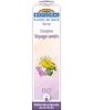 Complexe floral n°16 Voyage serein en spray Biofloral