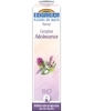Complexe floral n°20 Adolescence en spray Biofloral