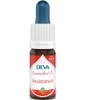 Composé Floral N°1 Assistance Bio Deva Laboratoire