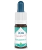 Composé Floral N°19 Renaissance Bio Deva Laboratoire