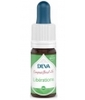 Composé Floral N°6 Libérations Bio Deva Laboratoire