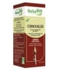 Cornouiller bio Flacon compte gouttes Herbalgem Gemmobase