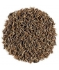 CUMIN SEMENCE BIO 100 Herboristerie De Paris
