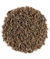 CUMIN SEMENCE BIO 100 Herboristerie De Paris