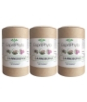 Cure de 3 Cranberry Canneberge 3x90gélules pour 2 Esprit phyto
