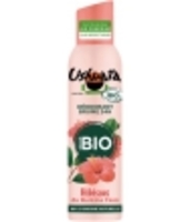 Déodorant Brume 24h Hibiscus Ushua a
