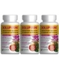 Dolupérine Holistica Lot de 3 boîtes de 60 Holistica