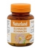 Echinacée 75 Naturland
