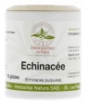 Echinacée Bio 230mg 60 Herboristerie De Paris