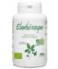 Eleuthérocoque racine bio 210 MG 200 GPH Diffusion