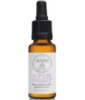 Elixir composé bio RUPTURE Elixirs And Co
